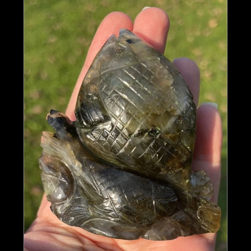 🐟 Fish Labradorite Carving/Figurine